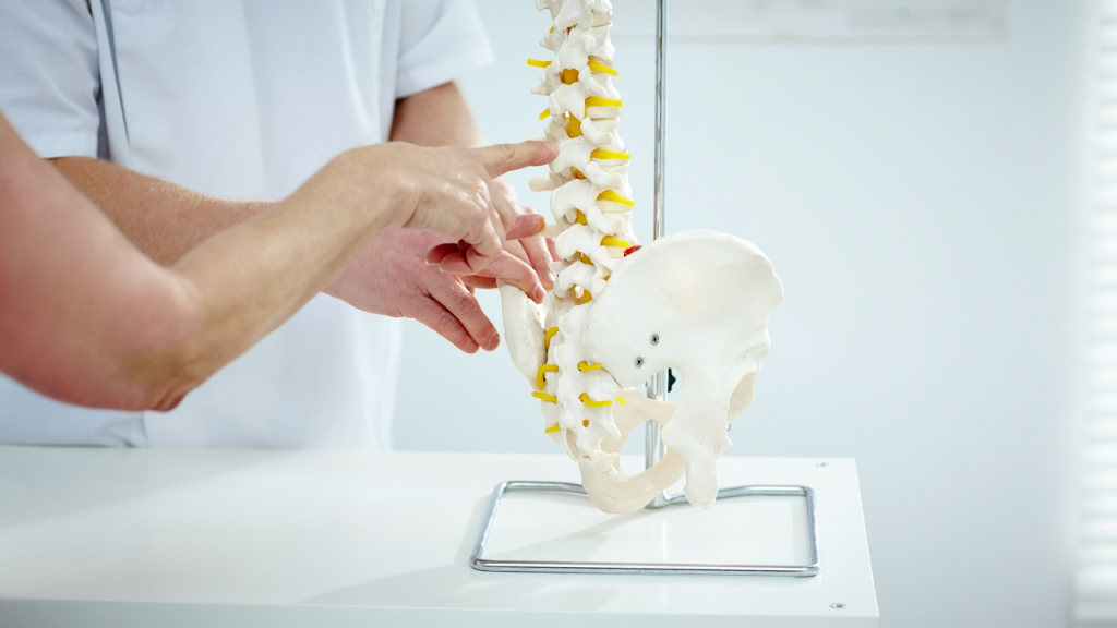Chiropractic Back POPPING? How Does Chiropractic Cracking Work?